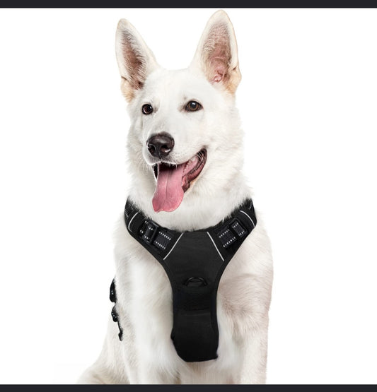 Conjunto de Arnés con Correa para Perro y Soporte Airtag | Tela Oxford