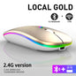 Bluetooth Wireless Mouse for Computer PC Laptop Ipad Tablet with RGB Backlight Mice Ergonomic Rechargeable USB Mouse Gamer
