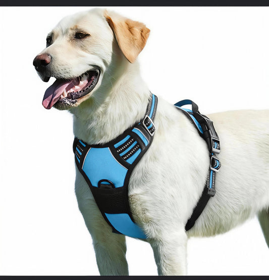 Conjunto de Arnés con Correa para Perro y Soporte Airtag | Tela Oxford